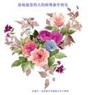 Published on 2/1/2014 ���ֹ�,��½�󷨵��ӹ�ףʦ���������(47��)
