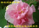 ֹ,ɶ󷨵ӹףʦ(28)
