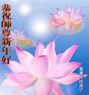 Published on 1/30/2014 ���ֹ�,��½�󷨵��ӹ�ףʦ���������(26��)
