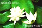ֹ,人󷨵ӹףʦ(31)
