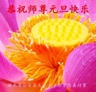 ֹ,󷨵ӹףʦԪ(19)
