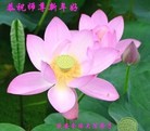 ֹ,󷨵ӹףʦԪ(26)
