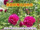 ֹ,󷨵ӹףʦԪ(26)
