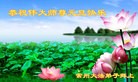 ֹ,½󷨵ӹףʦԪ(94)
