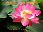 ֹ,½󷨵ӹףʦԪ(108)
