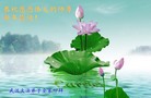 ֹ,人󷨵ӹףʦ(24)
