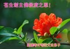 Published on 9/8/2014 ���ֹ�,��½�󷨵��ӹ�ףʦ�������(24��)

