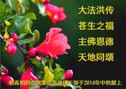 Published on 9/8/2014 ���ֹ�,���������˹�ףʦ�������(37��)
