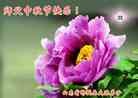 Published on 9/8/2014 ���ֹ�,��½�󷨵��ӹ�ףʦ�������(27��)
