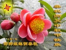 Published on 9/8/2014 ���ֹ�,��½�󷨵��ӹ�ףʦ�������(27��)
