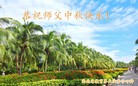 Published on 9/8/2014 ���ֹ�,��½�󷨵��ӹ�ףʦ�������(24��)
