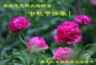 Published on 9/8/2014 ���ֹ�,��½�󷨵��ӹ�ףʦ�������(30��)
