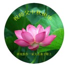ֹ,ϴ󷨵ӹףʦ(26)
