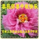 ���ֹ�,�����󷨵��ӹ�ףʦ�������(26��)
