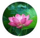 Published on 9/8/2014 ���ֹ�,��½�󷨵��ӹ�ףʦ�������(25��)
