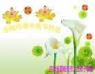 ֹ,󷨵ӹףʦ(29)
