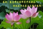 ֹ,󷨵ӹףʦ(79)
