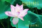 Published on 9/9/2014 ���ֹ�,��½�󷨵��ӹ�ףʦ�������(83��)
