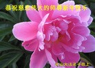 Published on 2/16/2015 ���ֹ�,��½�󷨵��ӹ�ףʦ������(31��)
