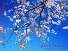 Published on 2/18/2015 ���ֹ�,С���ӹ�ףʦ������(22��)

