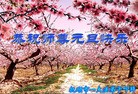 Published on 12/29/2015 ���ֹ�,��½�󷨵��ӹ�ףʦ���������(35��)
