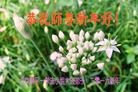 ֹ,󷨵ӹףʦ(22)

