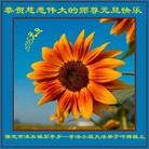 ���ֹ�,�����󷨵��ӹ�ףʦ��Ԫ������(22��)
