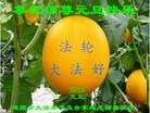 Published on 12/29/2015 ���ֹ�,��½�󷨵��ӹ�ףʦ���������(36��)

