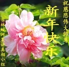 ���ֹ�,�����д󷨵��ӹ�ףʦ���������(21��)
