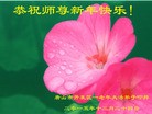 Published on 12/29/2015 ���ֹ�,��½�󷨵��ӹ�ףʦ���������(35��)
