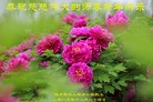 Published on 1/1/2016 ���ֹ�,��½�󷨵��ӹ�ףʦ���������(25��)
