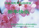 Published on 12/31/2015 ���ֹ�,��½�󷨵��ӹ�ףʦ���������(31��)
