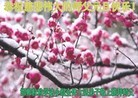 Published on 12/31/2015 ���ֹ�,��½�󷨵��ӹ�ףʦ���������(31��)

