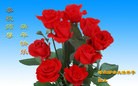 Published on 1/1/2016 ���ֹ�,��½�󷨵��ӹ�ףʦ���������(28��)
