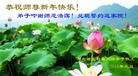 Published on 12/31/2015 ���ֹ�,��½�󷨵��ӹ�ףʦ���������(31��)

