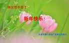 Published on 1/1/2016 ���ֹ�,����ҵ�󷨵��ӹ�ףʦ���������(33��)
