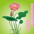 Published on 12/29/2015 ���ֹ�,��½�󷨵��ӹ�ףʦ���������(27��)
