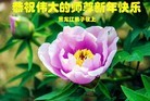 Published on 12/29/2015 ���ֹ�,��½�󷨵��ӹ�ףʦ���������(33��)
