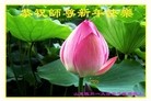 Published on 12/29/2015 ���ֹ�,��½�󷨵��ӹ�ףʦ���������(33��)
