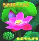 ���ֹ�,�żҿڴ󷨵��ӹ�ףʦ���������(23��)
