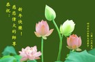 ֹ,Ĵ󷨵ӹףʦ(24)

