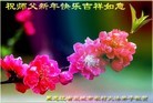 Published on 12/31/2015 ���ֹ�,���󷨵��ӹ�ףʦ���������(18��)

