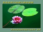 Published on 12/31/2015 ���ֹ�,���󷨵��ӹ�ףʦ���������(18��)
