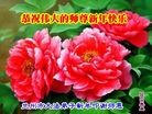 ֹ,󷨵ӹףʦ(24)
