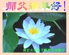 ֹ,մ󷨵ӹףʦ(25)

