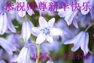 ֹ,󷨵ӹףʦ(28)
