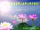 Published on 1/1/2016 ���ֹ�,��½�󷨵��ӹ�ףʦ���������(25��)
