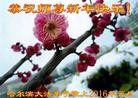 Published on 1/1/2016 ���ֹ�,��½�󷨵��ӹ�ףʦ���������(25��)

