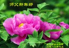 Published on 1/1/2016 ���ֹ�,��½�󷨵��ӹ�ףʦ���������(25��)

