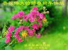 Published on 1/1/2016 ���ֹ�,��½�󷨵��ӹ�ףʦ���������(25��)
